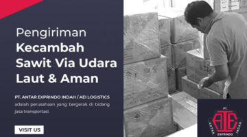 Spesialis-pengiriman-kecambah-sawit-aman-new