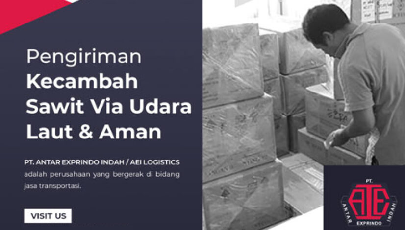 Spesialis-pengiriman-kecambah-sawit-aman-new