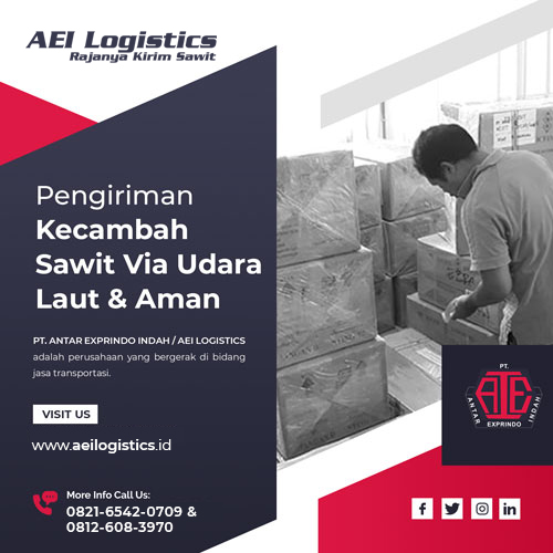 Spesialis-pengiriman-kecambah-sawit-aman-new